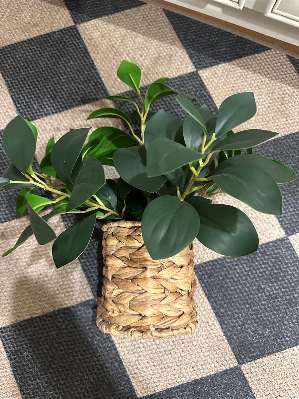 Hearth & Hand Faux Green Leaf Arrangement in Woven Basket